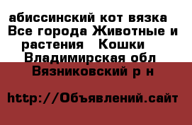 абиссинский кот вязка - Все города Животные и растения » Кошки   . Владимирская обл.,Вязниковский р-н